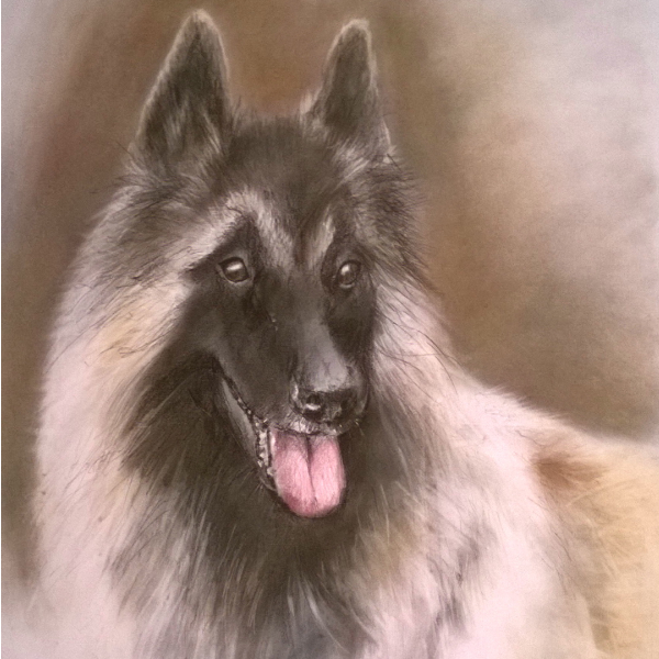dog pet portrait pencil drawing